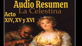 Audio Resumen La Celestina  Acto 14 15 y 16 Sobre Casamiento de Melibea  El Buen Lector [upl. by Nnyluqcaj]