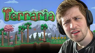 So I Tried Terraria Calamity And Im Confused [upl. by Elletnahs]