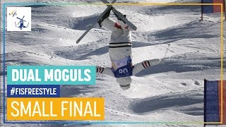 Dumais vs Reikherd  Mens Small Final  Dual Moguls  Almaty  FIS Freestyle Skiing [upl. by Ennaira739]