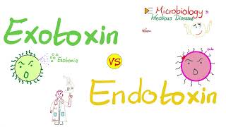 Exotoxins vs Endotoxins  Microbiology 🧫 amp Infectious Diseases 🦠 [upl. by Sileas]