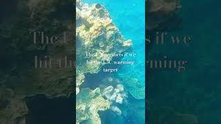 The world’s coral are dying australia greatbarrierreef coralreef coral environment [upl. by Rosalia]