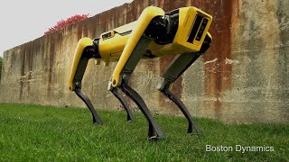 This New Robot Dog Has a Playful Spirit [upl. by Aitselec286]