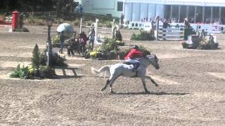 Goliath vd Groenweg  EK Millstreet  jump off Silver medal [upl. by Tserrof172]