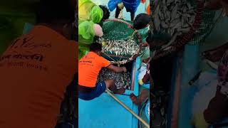 fishing challenge trip 2 ratnagiri fishing [upl. by Hplar]