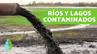 CAUSAS y CONSECUENCIAS de la CONTAMINACIÓN de LAGOS y RÍOS [upl. by Reimer654]