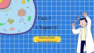 PATHOLOGY  GENERAL PATHOLOGY  INTRACELLULAR ACCUMULATIONS [upl. by Enaj]