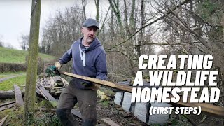 Im Building A Wildlife Homestead First Steps [upl. by Spector]