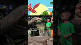 Dino World with Nikoo Family [upl. by Hynda]