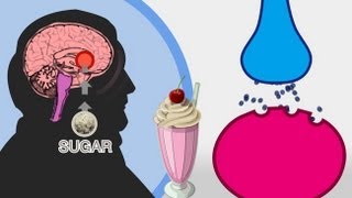 The Skinny on Obesity Ep 4 Sugar  A Sweet Addiction [upl. by Joy782]