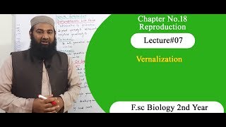 Biology Ch18Lecture07 Vernalization FSc 2nd Year [upl. by Nimocks]