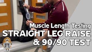 MLT Hamstrings Straight Leg Raise AND 9090 Test [upl. by Azaleah]