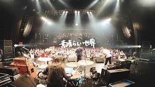 KOTORI 「素晴らしい世界」Official Live Video [upl. by Win]