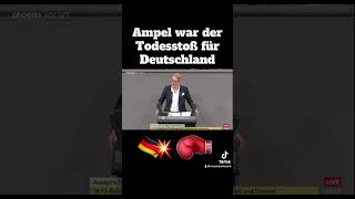 Alice Weidel zur Ampel Regierung💥⚡️ [upl. by Oicnecserc]