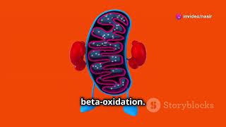 Lysosomes and peroxisomes lysosomes cellbiology youtube [upl. by Loredana]