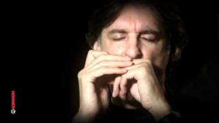 Howard Levy  HOHNER Masters of the Harmonica [upl. by Mady]