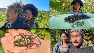 Spider hunting part one  how to hunt cook and eat spider bizarre Naga delicacy  Nagaland [upl. by Tadeo]