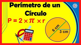 ✅ Calcular el Perímetro de un CIRCULO Fácil  Ejemplos Resueltos  Figuras Geométricas [upl. by Nilson]