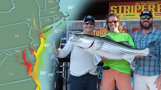 What is the Striper Cup  Striper Season Update Ep2 [upl. by Pappas218]