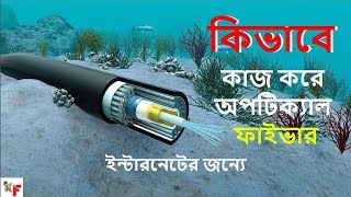 Fiber Optic Cables  How They Work  যেভাবে কাজ করে অপটিক্যাল ফাইভার ইন্টারনেটের জন্যে [upl. by Errised]