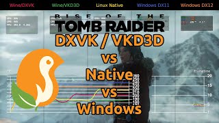 Rise of the Tomb Raider Benchmark  DXVK vs VKD3D vs Native vs Windows [upl. by Nede71]