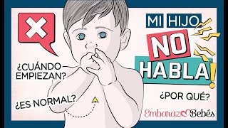 Mi hijo tiene 2 AÑOS y NO HABLA 🤐❌ ¿Por qué  Signos del retraso del habla [upl. by Supmart]