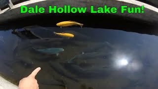 FUN  What to Do at Dale Hollow Lake [upl. by Assylla497]