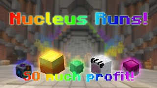 Nucleus Runs are SO much profit Grinding to 1b Ep 1 [upl. by Hindorff878]