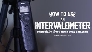 How to use an intervalometer timelapse photography [upl. by Livvy659]