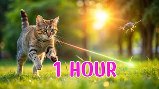 😺CAT GAMES l Watch Cats Go Crazy Chasing the Laser Fly Game 1 Hour VIDEOS FOR CATS TO WATCH [upl. by Meluhs893]