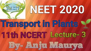 NCERT Revision Transport in Plants Lecture 3 NEET 2020 By Anju Maurya [upl. by Dur]