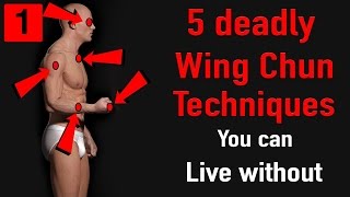 5 deadly wing chun techniques you cant live without [upl. by Kiona]