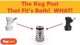 Multi Keg Post New keg posts that FIT BOTH LIQUID AND GAS disconnects WHAT YEAH ITS POSSIBLE [upl. by Dot]