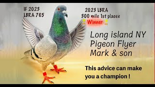 Mark and Son Loft shares secrets that can make you a pigeon champion [upl. by Lanfri173]