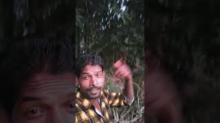 Teri aankhoke andaj Mahanta hai love hindisong bollywood youtube Shorts [upl. by Yehudi]