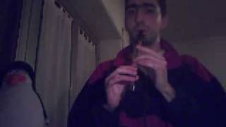 Final Fantasy VII Main Theme  Tin Whistle 2nd version [upl. by Ford]