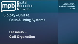 MPB Biology Unit 1 Lesson 5 Cell Organelles [upl. by Hpesoj914]