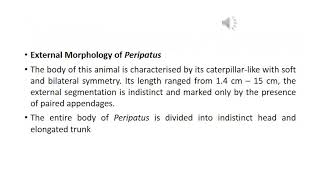 Phylum Arthropoda part 1 [upl. by Eterg]