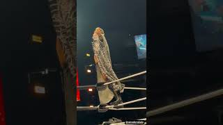 Kazuchika Okada Makes His Entrance Into The Ring At AEW Dynamite [upl. by Orsola]