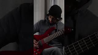 HozierDe Selby Part 2Bass Cover bassguitar hozier [upl. by Decima]