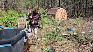 Food Forest Planting seed started loquat and more food forest talk [upl. by Aguste980]