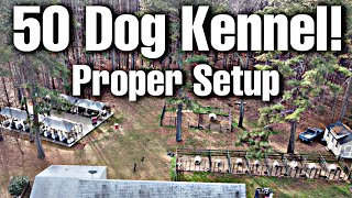 Proper kennel setup ideas [upl. by Ibby]