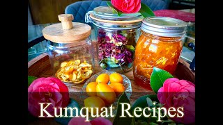 Kumquat Recipes [upl. by Salokcin]