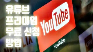 유튜브 프리미엄 무료 신청 및 해지방법  1개월 이상 무료마케팅 길라잡이 5분 특강 [upl. by Cir7]