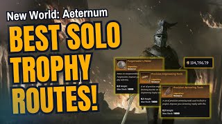 New World Aeternum BEST Solo Trophy Routes Easy Money [upl. by Annaed975]