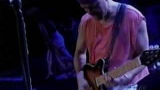 Van Halen  cant stop loving you live 1995 [upl. by Parthena635]