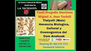 Tlalyolli Maiz Herencia Biologica Cultural y Cosmogonica del Cem Anahuak [upl. by Demaria]