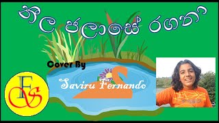 නීල ජලාසේ රගනා Neela Jalase Ragana  Cover By Saviru Fernando saviru [upl. by Adaynek]