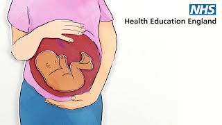 Perinatal and ParentInfant mental health eLearning [upl. by Pacian]