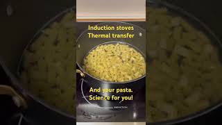 Pots and Pans Thermal Transfer Small Burners and Your Pasta  Induction Stoves [upl. by Jule696]