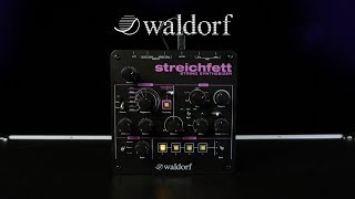 Waldorf Streichfett String Synthesizer  Gear4music demo [upl. by Isleana69]